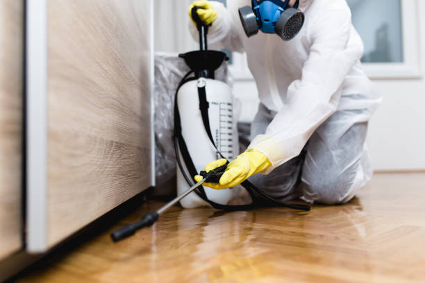 Best Exterminator Services  in Flemington, NJ