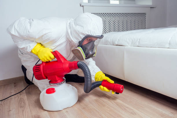 Best Best Pest Control Companies  in Flemington, NJ