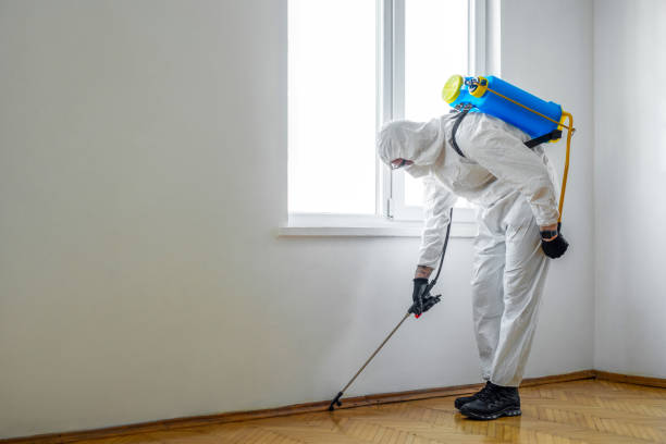 Best Flea Control Services  in Flemington, NJ