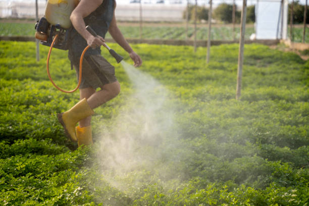 Reliable Flemington, NJ Pest Control Solutions