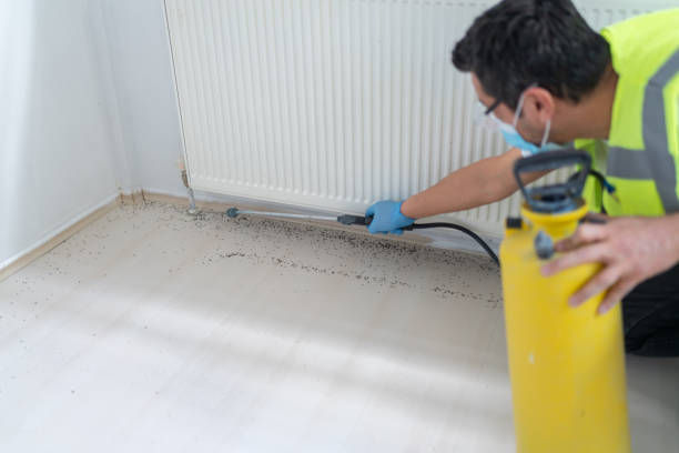 Best Residential Pest Control  in Flemington, NJ
