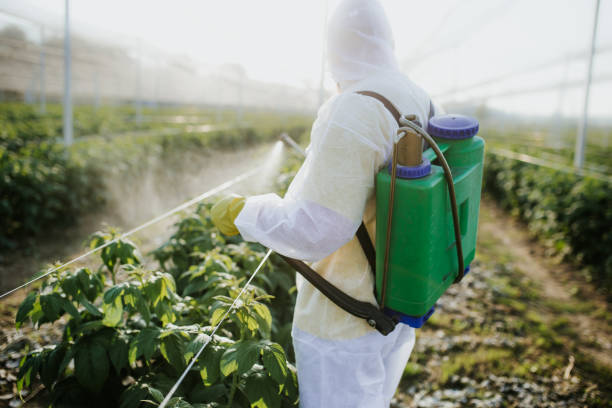 Best Pest Control for Restaurants  in Flemington, NJ
